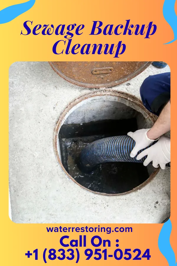 Sewage Backup Cleanup in Quitman, LA