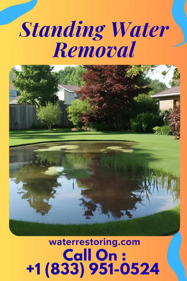 Standing Water Removal in Quitman, LA